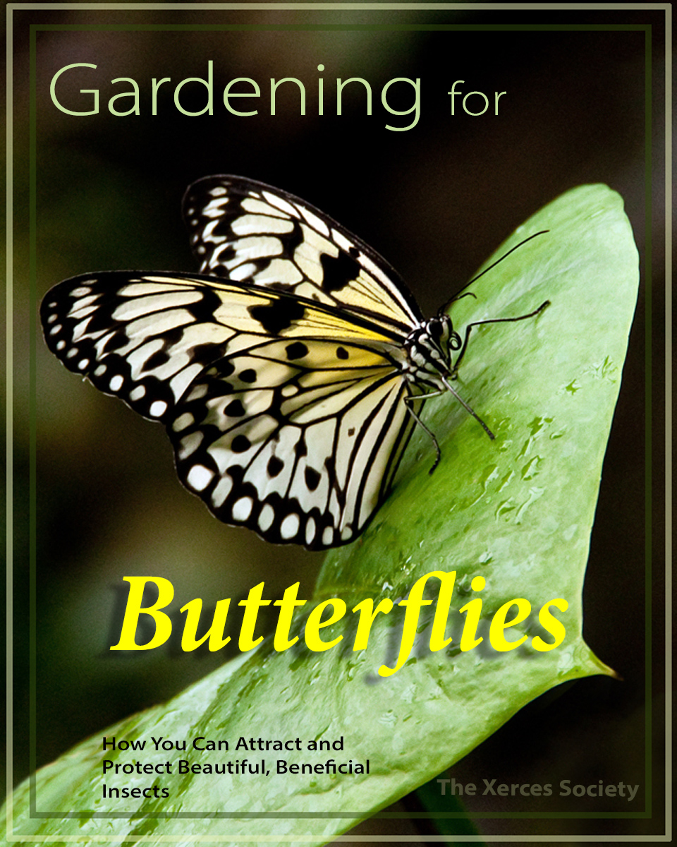 Gardening for Butterflies