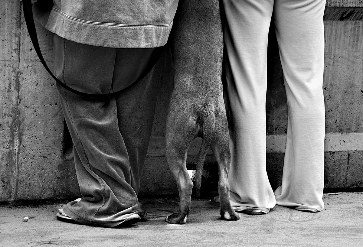 Six legs