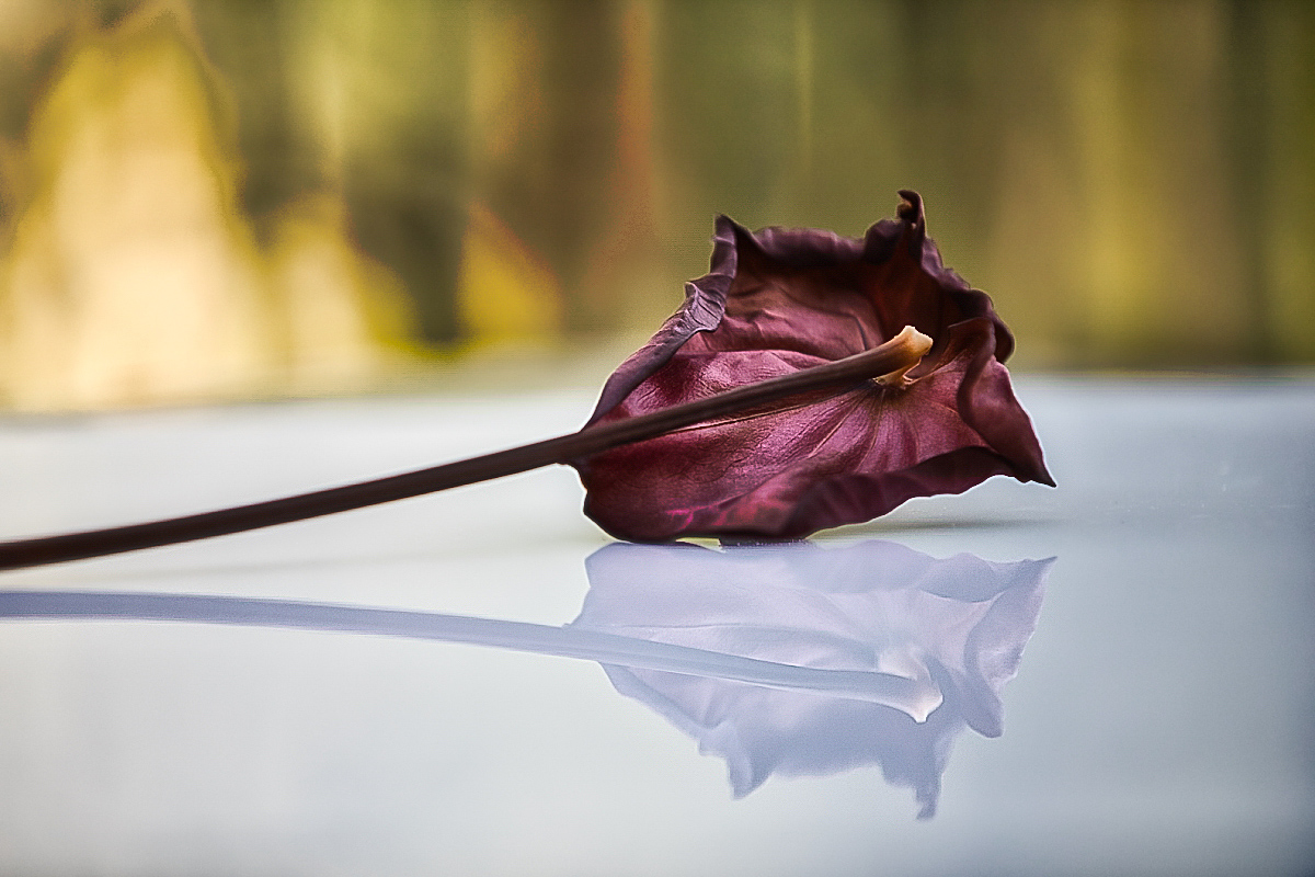 Death has parallel life