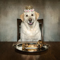 The Princess's 7th Birthday