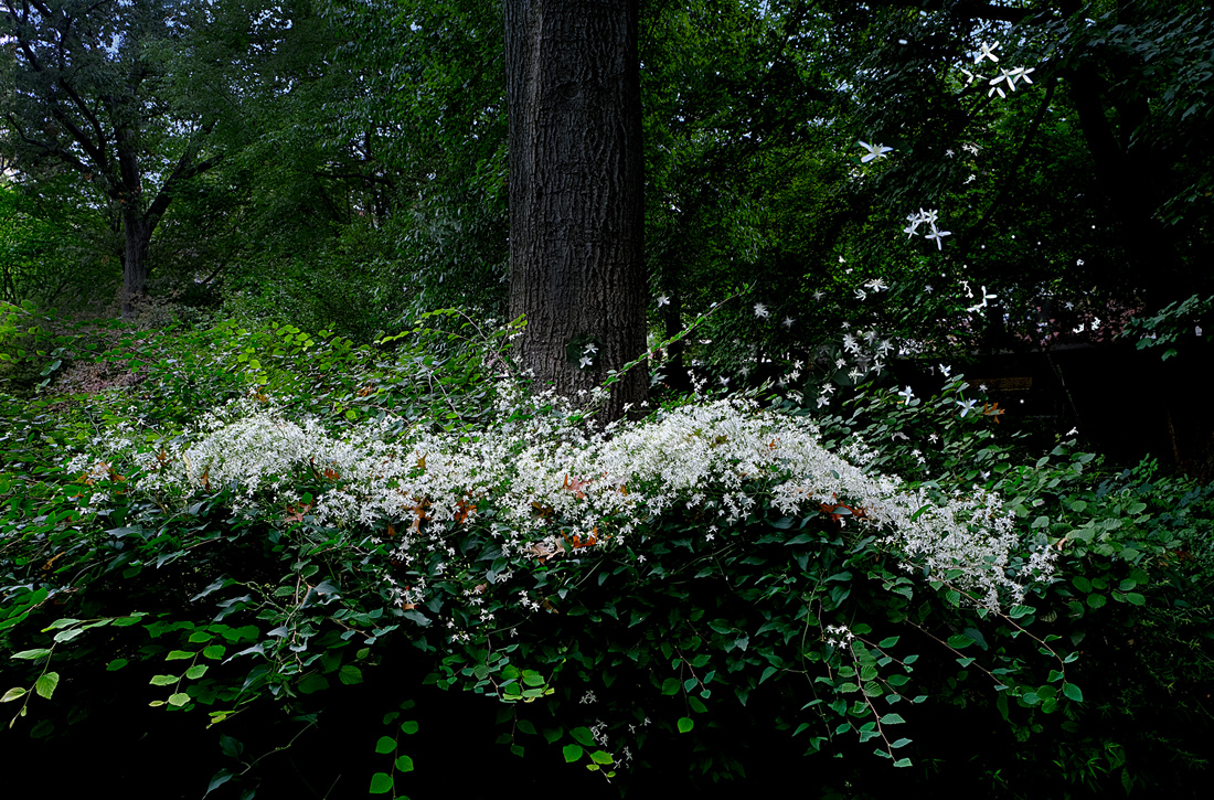 September flurries