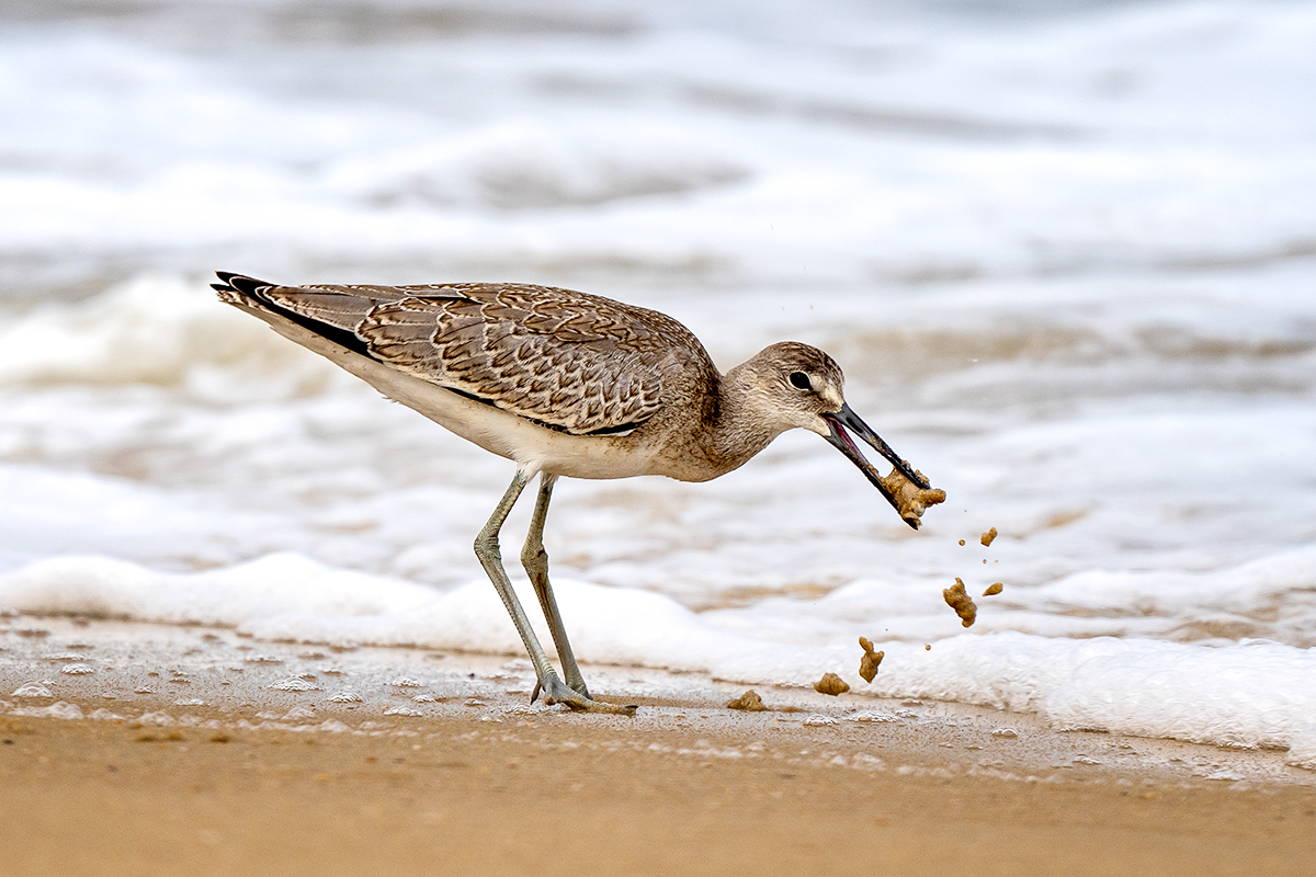 Finding Dinner