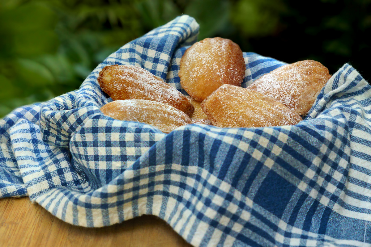 Madeleines