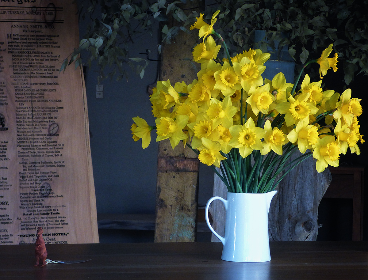 Daffodils on a Wood Worker's Counter