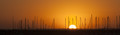 Sundown 