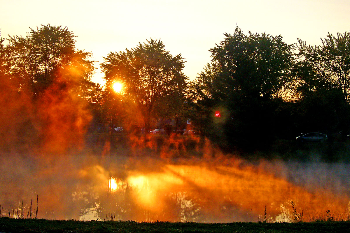 Morning Mist