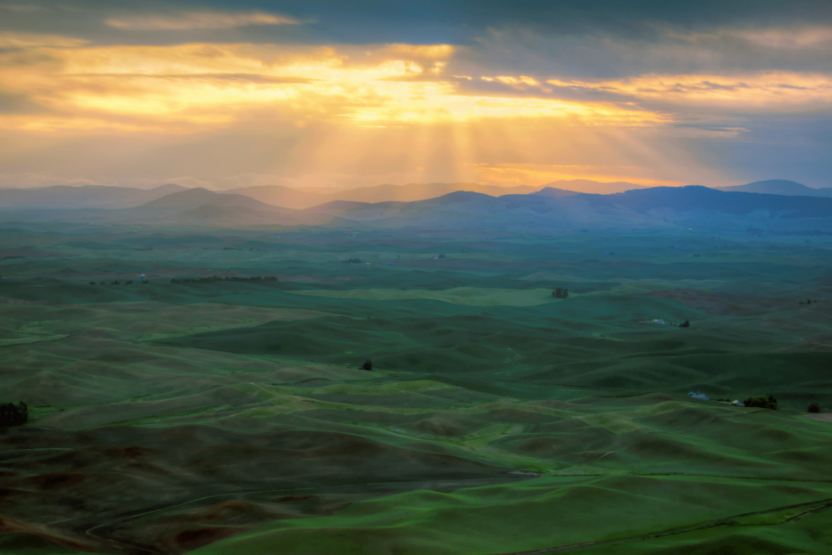 Palouse Sunrise