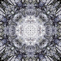 Daisy Doily