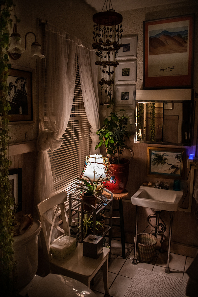 The Artist's Loo