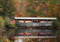 Covered Bridge