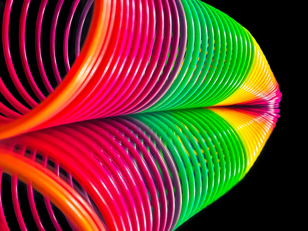 Colorful Fish