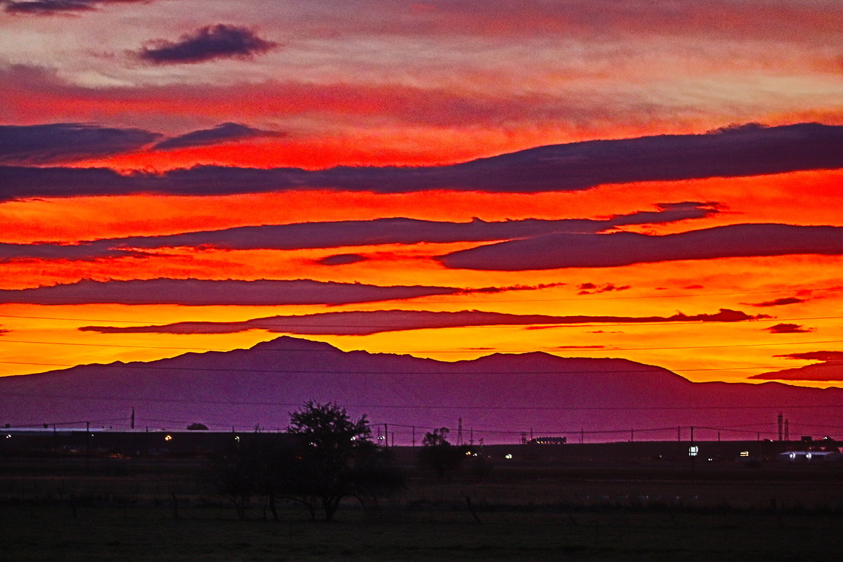 Purple Mountain Majesty