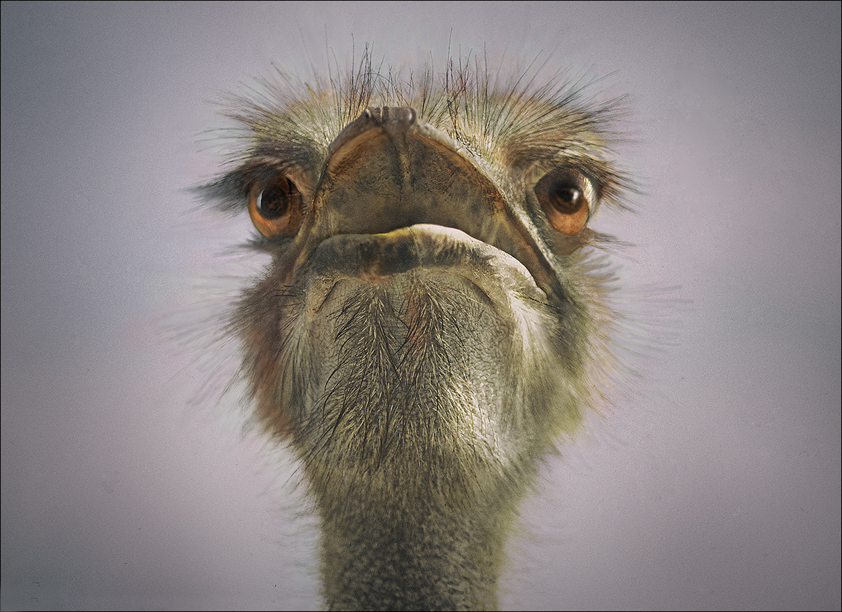 But... she has a really good personality