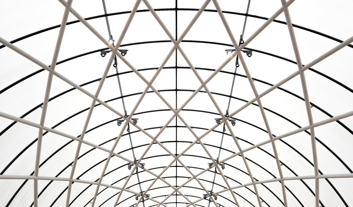 Museum Ceiling