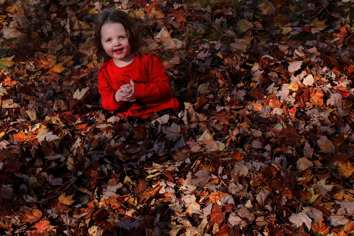 Softness of Fall