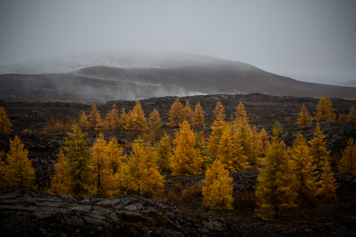 Colors of Autumn