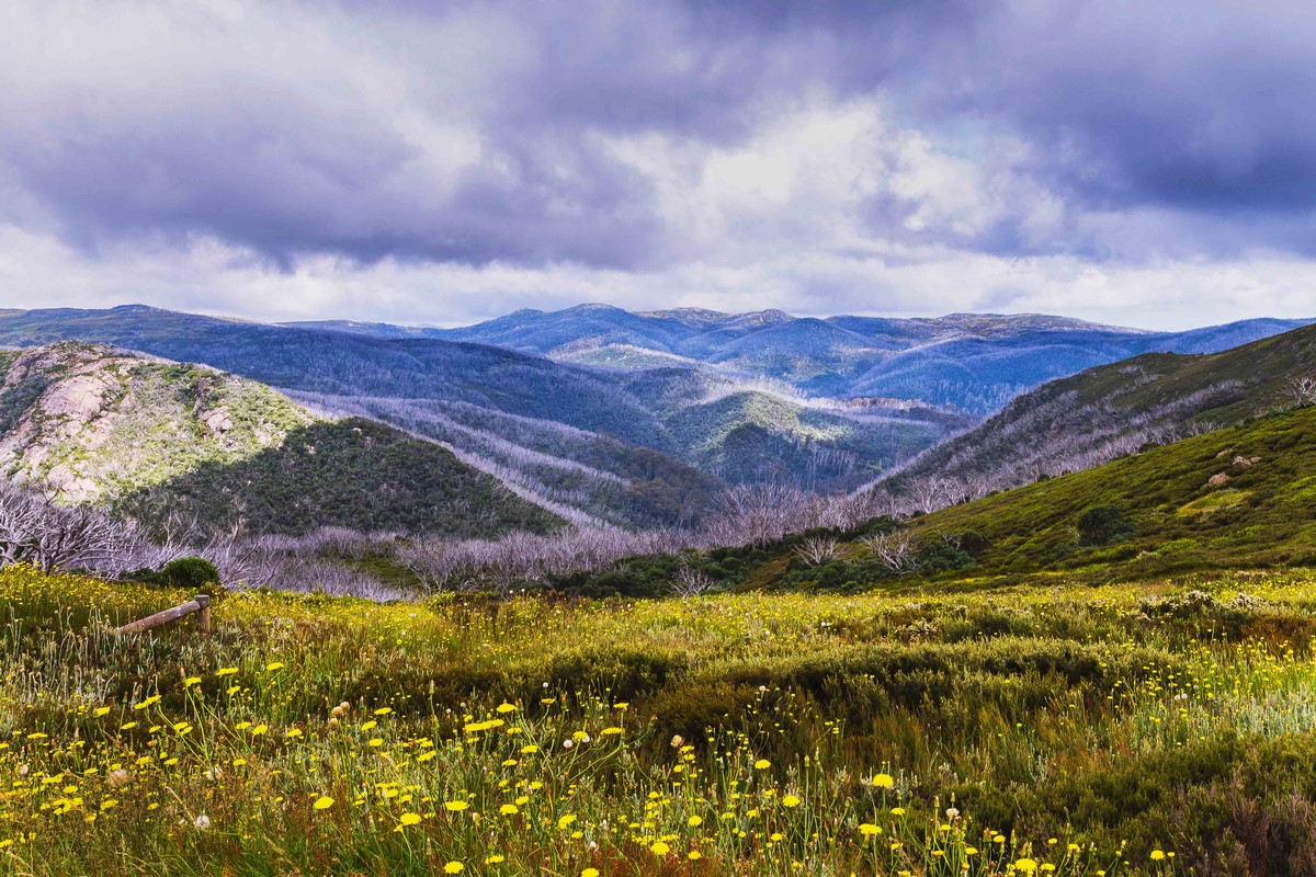 Spring In The Mountains