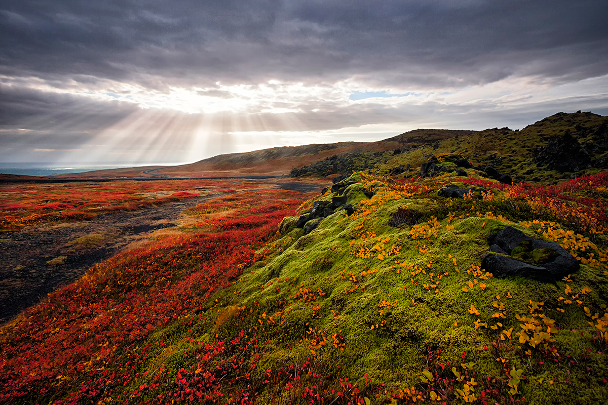 Light and colors of Autumn 