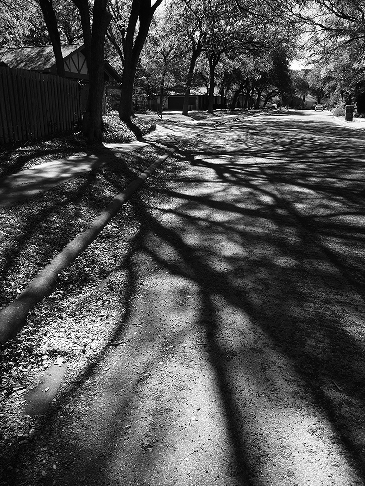 road shadows