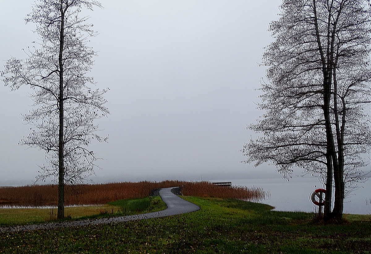 The Road to my Winter Baths