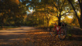 Rockwood Park