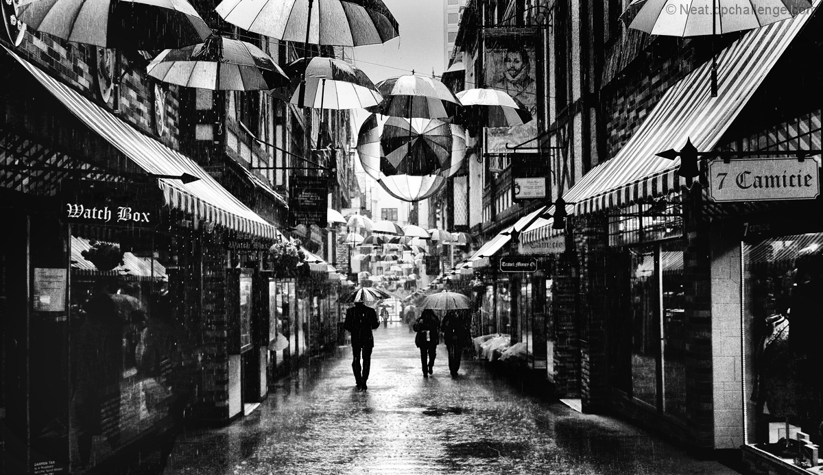 Rainy days and Mondays