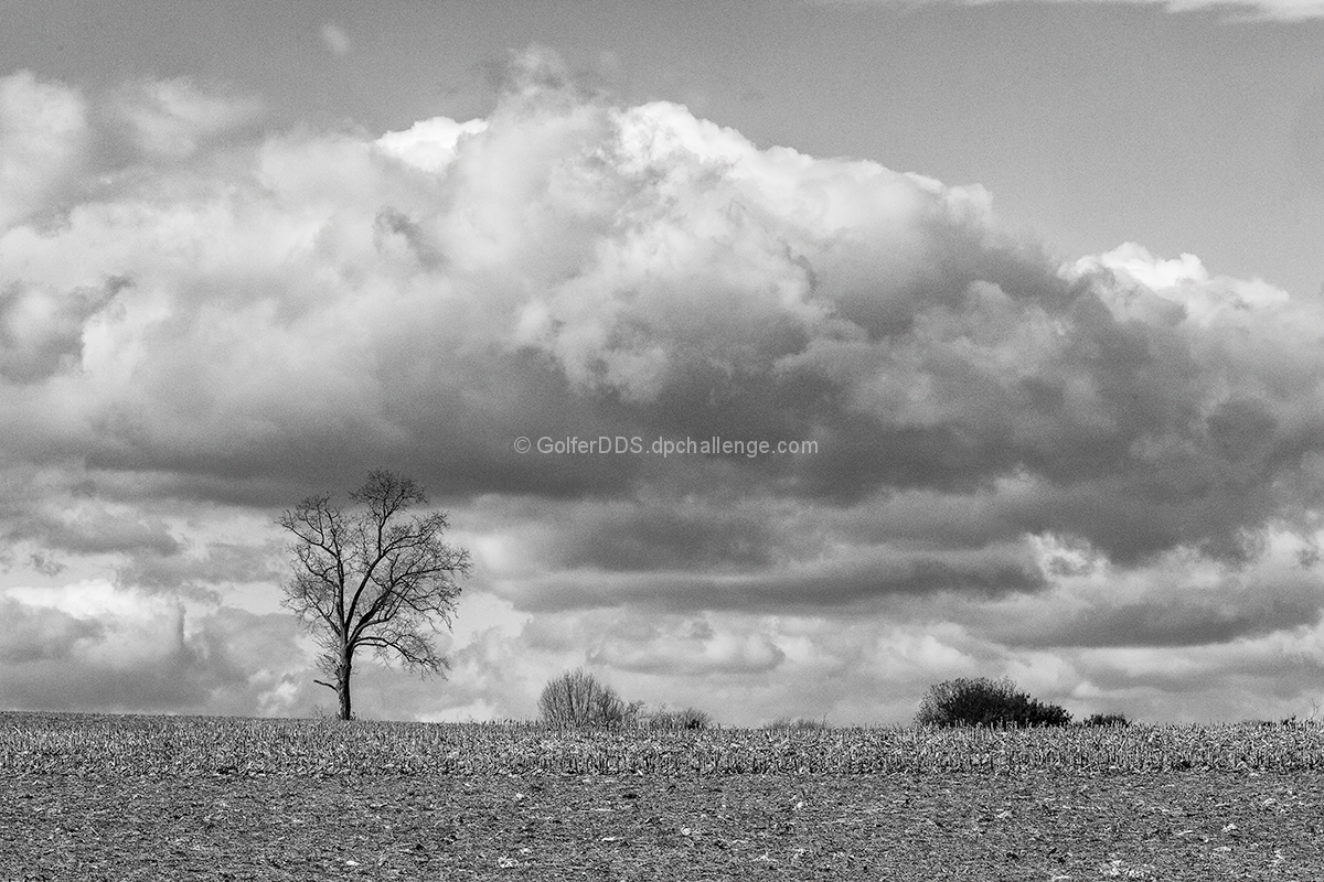 The Wind Comes From The West