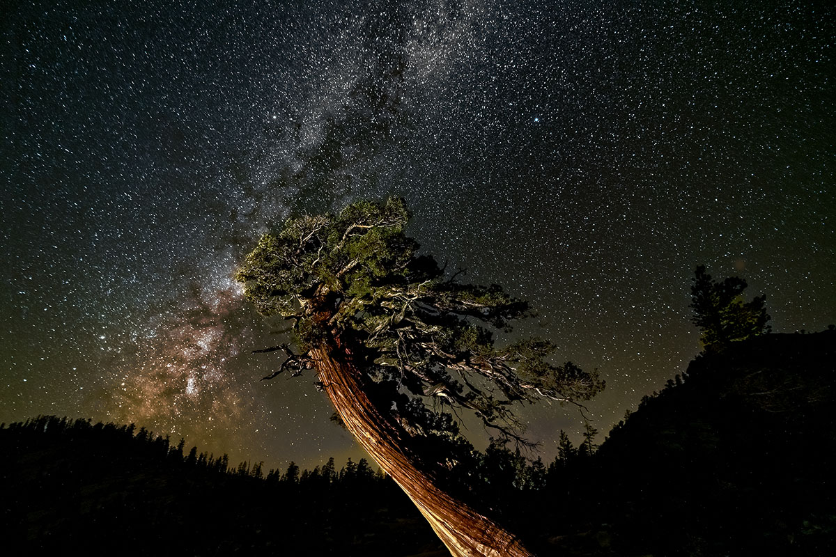 Milky Way Over Olmsted Point, Yosemite