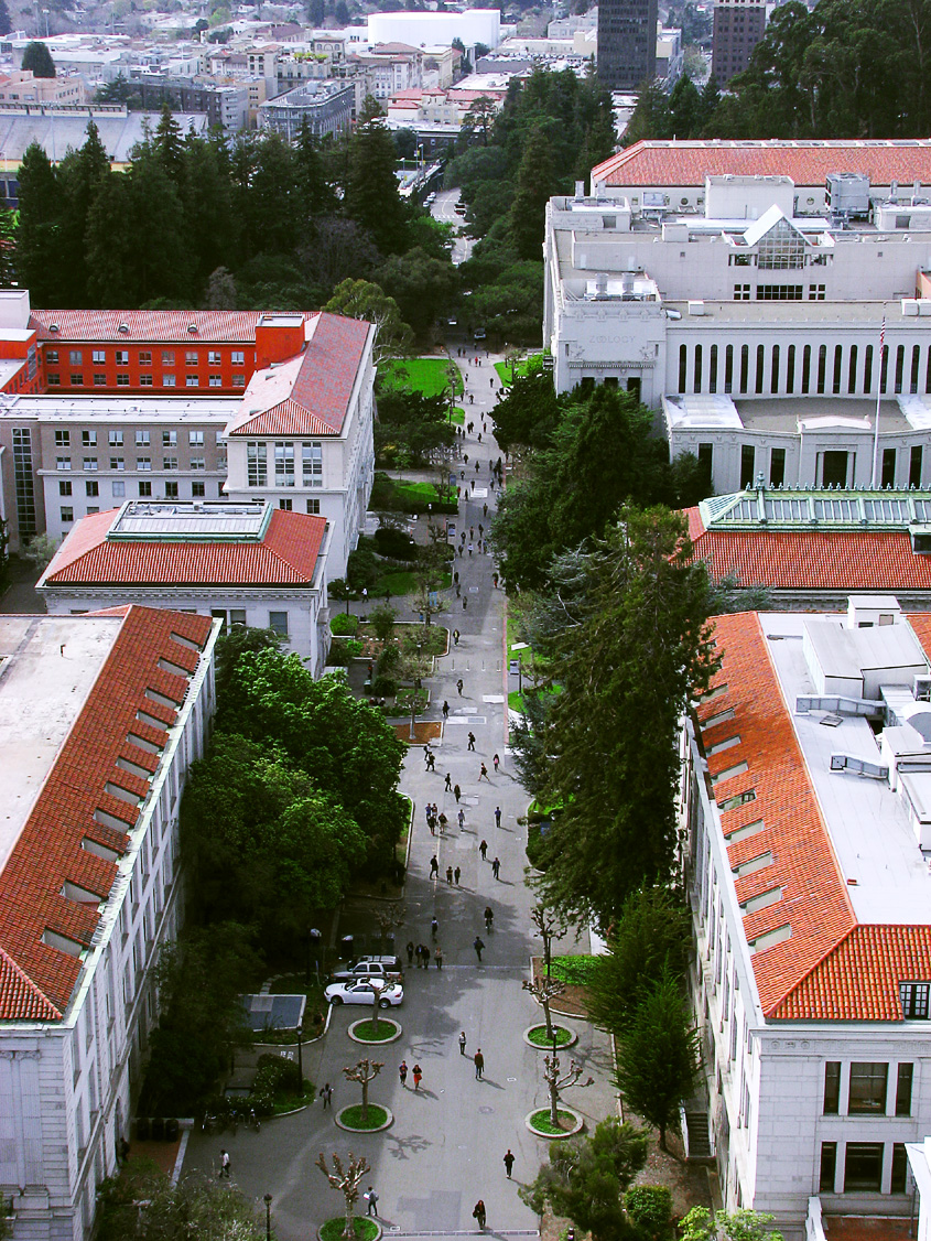 University Walk