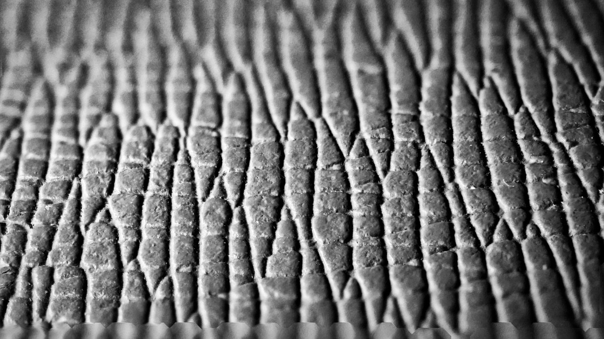Vegan Leather