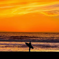 Surfer Sunset 