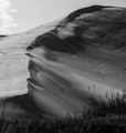 Maitland dunes