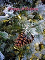 Happy Holidays