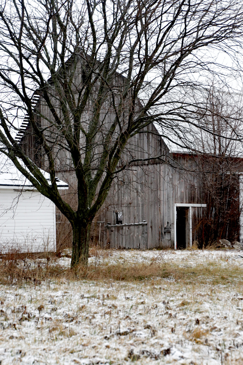 Snow Barn