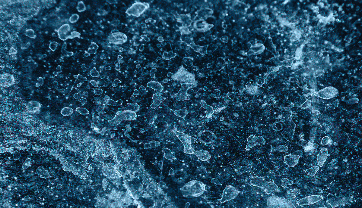 Amoebas in Space