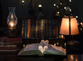 Library Love
