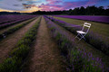 A quiet place to sit