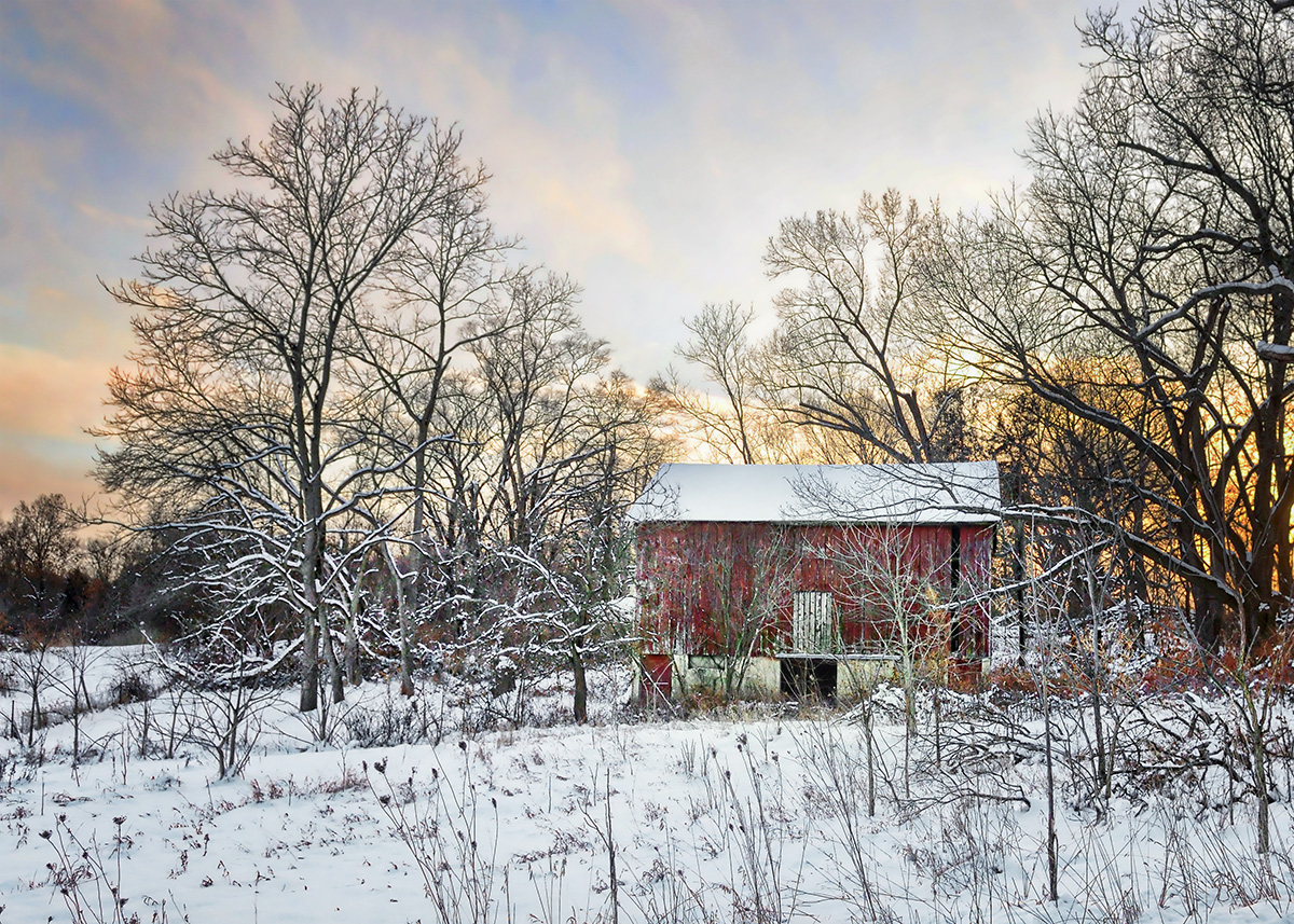 Surviving Another Winter