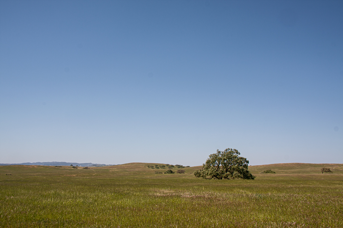 Armour Ranch Road