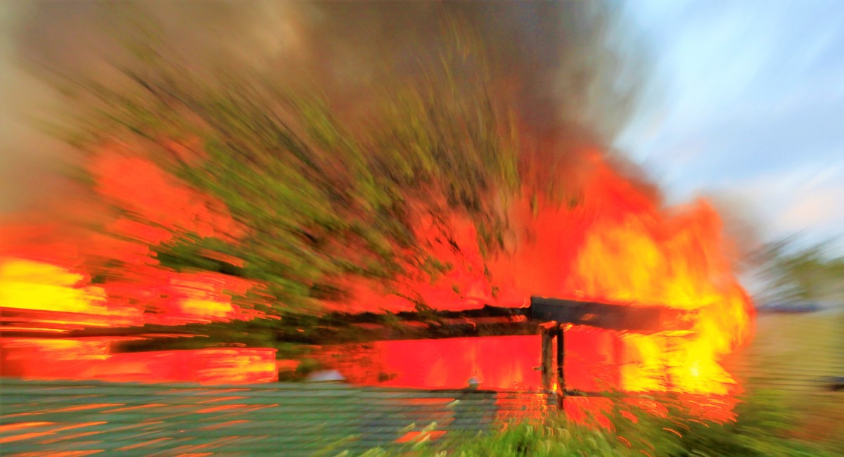 brand1