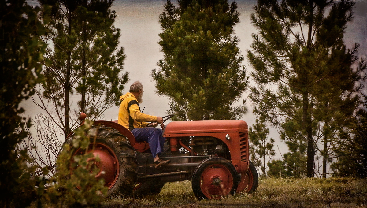 Farmer Brown 