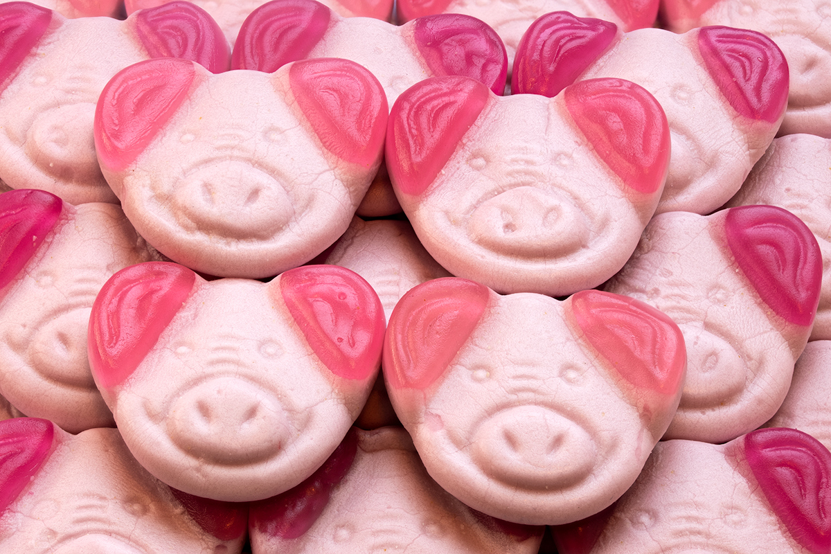 A pig's smile