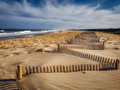 Dune Fence & Surf, Early Spring