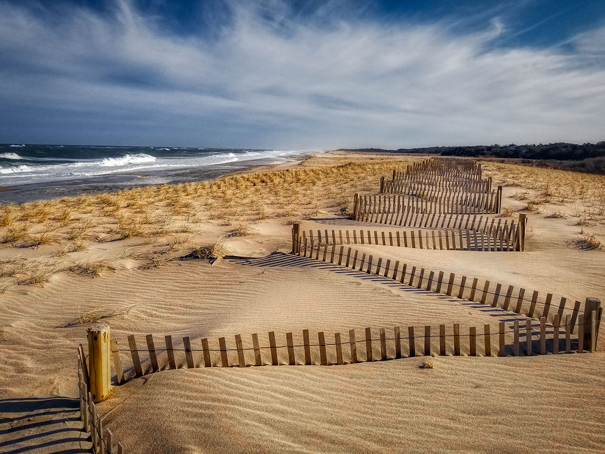Dune Fence & Surf, Early Spring
