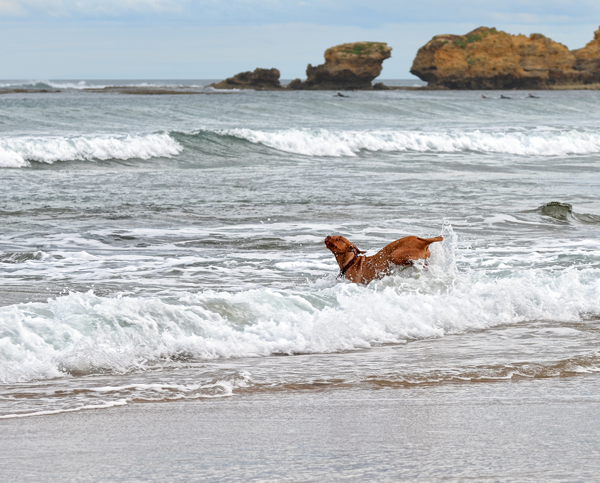 On the Surf Beach