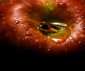Eye of the Apple