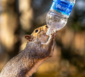 Good to the Last Drop