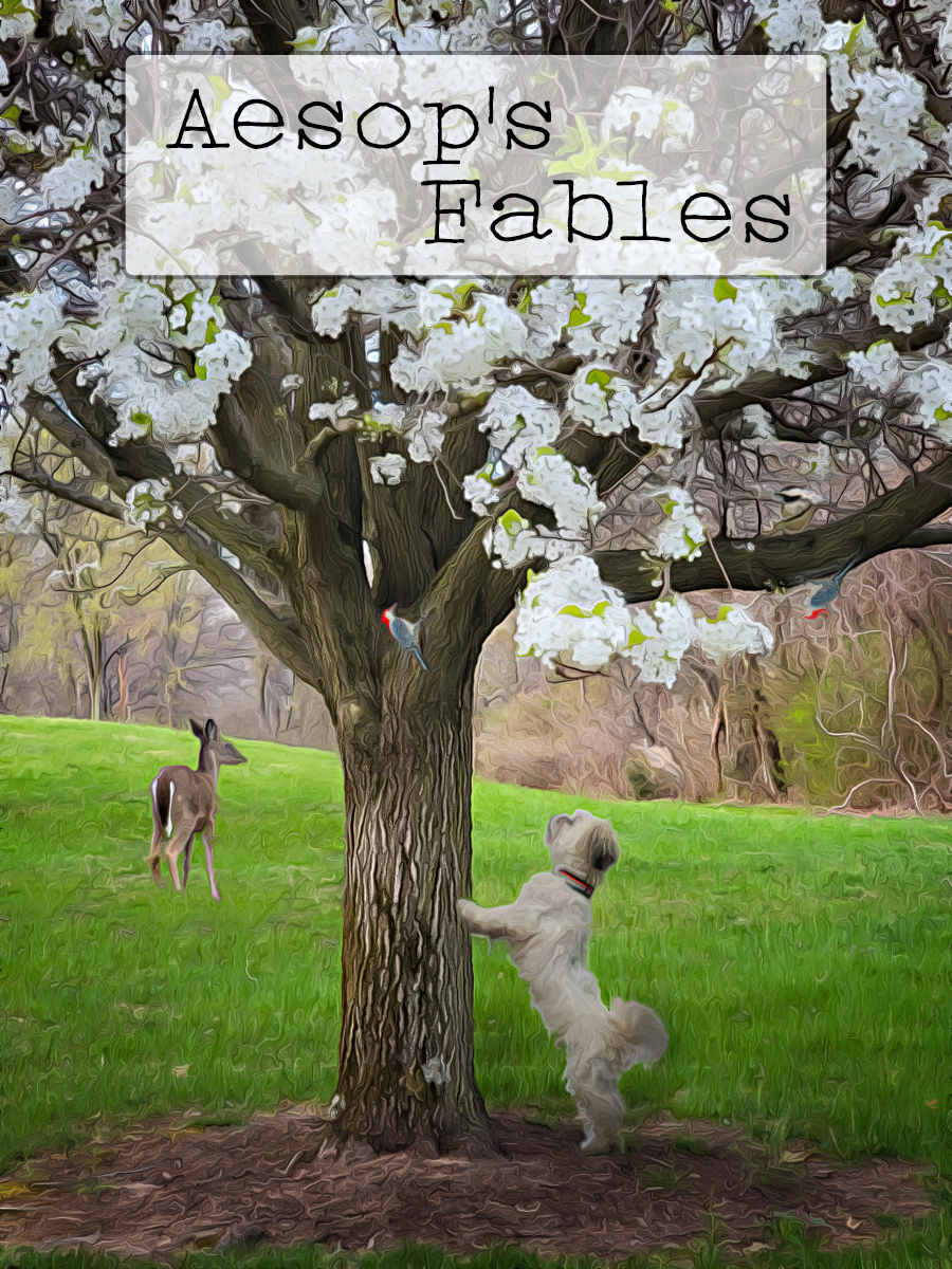 Aesop's Fables