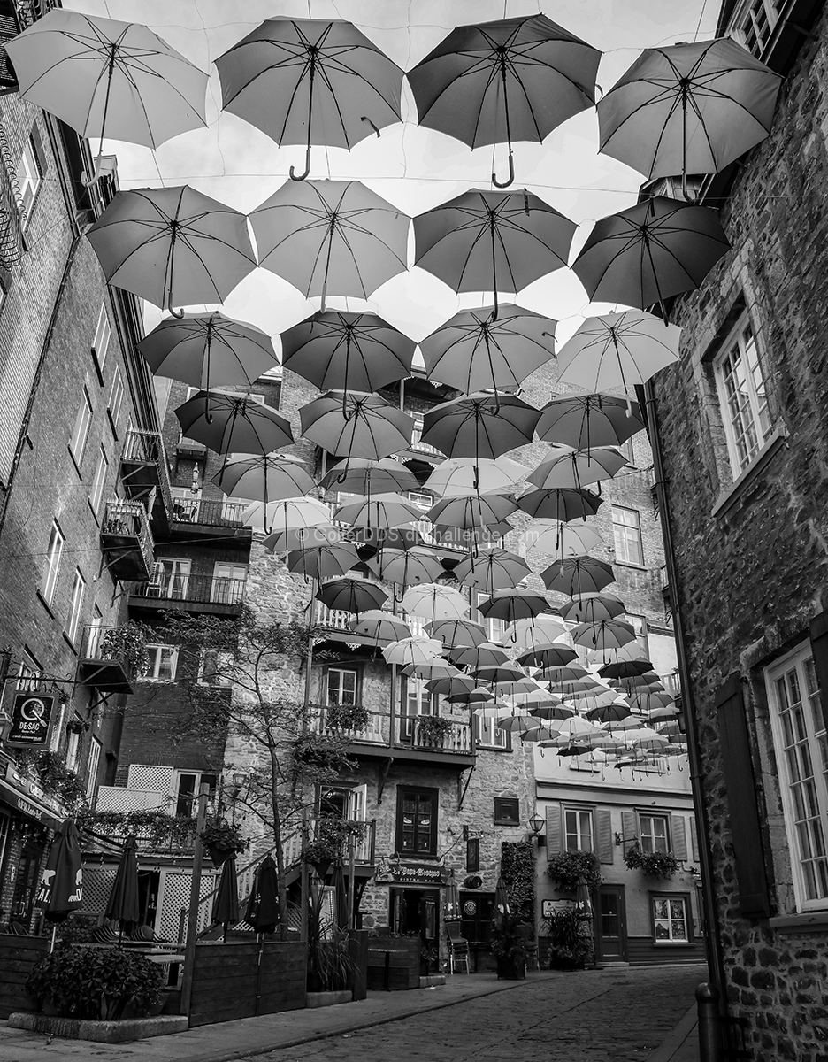 Umbrellas