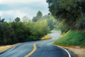 driver's dream